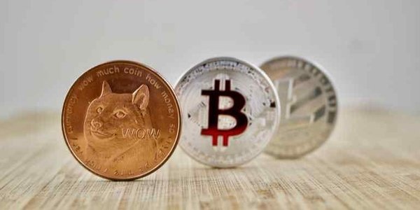 Во что инвестировать: Bitcoin vs Dogecoin