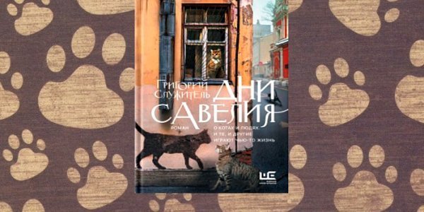 Есть способ посмотреть на современную Москву глазами кота