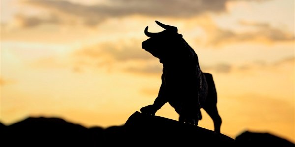 Хедж-фонд Tourbillon Capital понес потери на бычьем рынке
