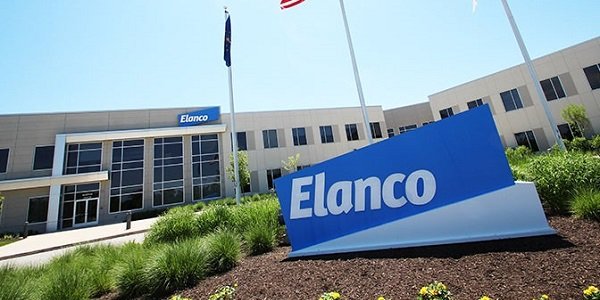Как реагировать на отчет и коррекцию акций Elanco Animal Health 