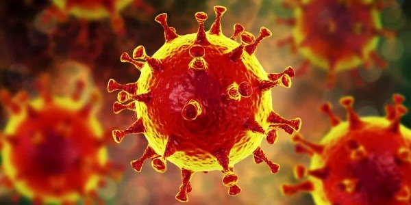 Действительно ли масштабность коронавируса переоценена – обратимся к математике