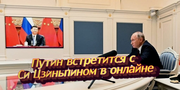 Путин встретится с Си Цзиньпином в онлайне, Володин рассказал о судьбе QR-кодов на транспорте – дайджест Fomag.ru