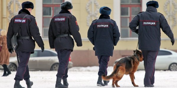 Что искала полиция на рынках «Москва» и «Садовод», а также курс биткоина, эфириума и Ripple за сутки