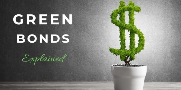 Что такое и зачем нужны зеленые облигации