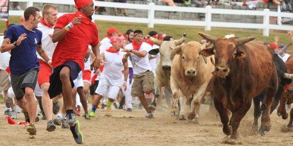 Американский премаркет: быки идут в бой с «Эплом» наперевес