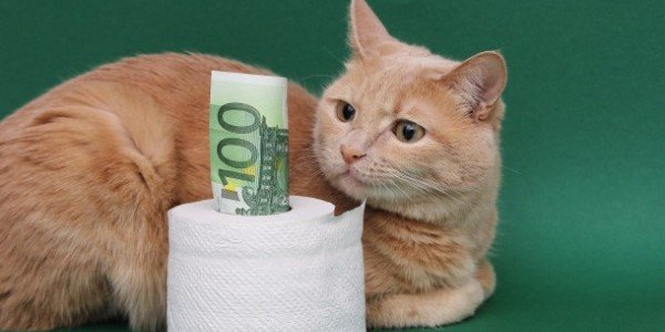 Жизнь при евро по 90 рублей и несколько причин купить акции Сбербанка и Viacom
