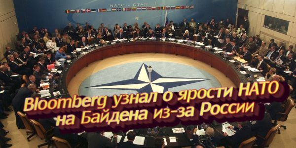 Bloomberg узнал о ярости НАТО на Байдена из-за России, президенты США и Украины обсудили переговоры с Путиным – дайджест Fomag.ru