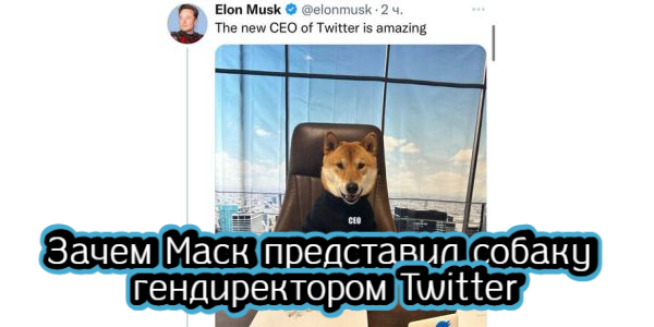 Зачем Маск представил собаку гендиректором Twitter, почему Байден пошел на подрыв «Северных потоков» – дайджест Fomag.ru