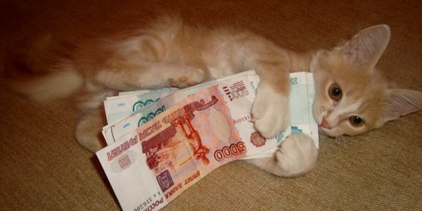 Стоит ли снова переживать за рубль