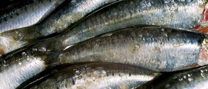 ЕС осудил российское эмбарго на ввоз рыбы из Прибалтики