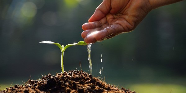 Куда советует инвестировать «Атон» в 2017 году