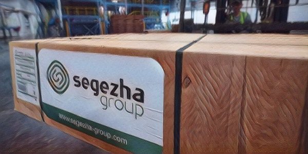 Как развивается бизнес Segezha Group