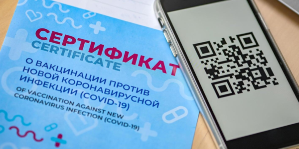 Как получить QR-коды по CMC, сделка ОПЕК остается под вопросом – дайджест Fomag.ru