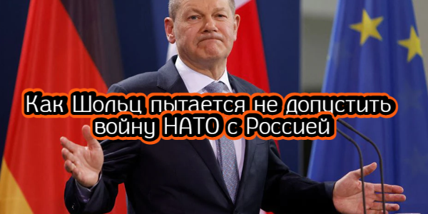 Как Шольц пытается не допустить войну НАТО с Россией, что интересного Рэй Далио увидел в кэше – дайджест Fomag.ru