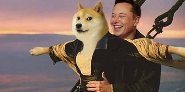 Илон Маск: «Хотите ли вы, чтобы Tesla принимала Doge?»