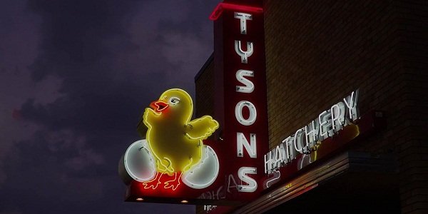 «ФИНАМ» советует покупать акции Tyson Foods с потенциалом роста 25%