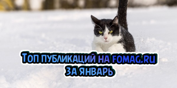 Топ публикаций на fomag.ru за январь