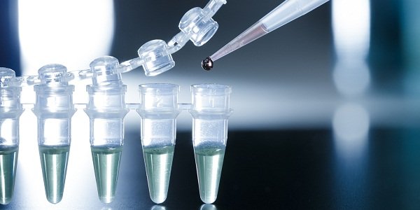 «Институт стволовых клеток человека» готовится к SPO