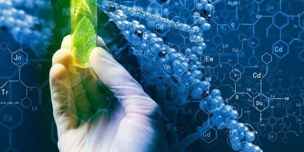 Выгодно ли инвестировать в биотехнологический стартап