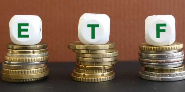 Что такое БПИФ, его плюсы и минусы