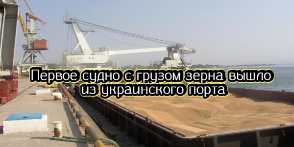 Первое судно с грузом зерна вышло из украинского порта, квота стран ОПЕК+ по добыче нефти с 1 августа повышается – дайджест Fomag.ru
